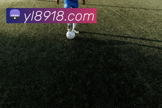 战术分析频道